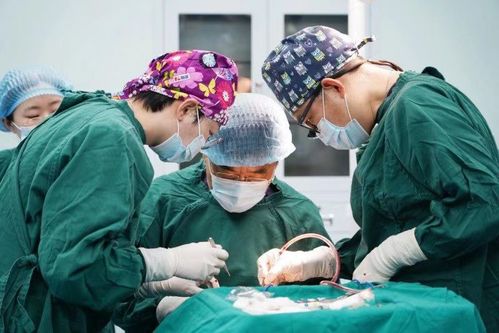 老人患 眼癌 15年 眼瞼出現(xiàn)腫物不可輕視